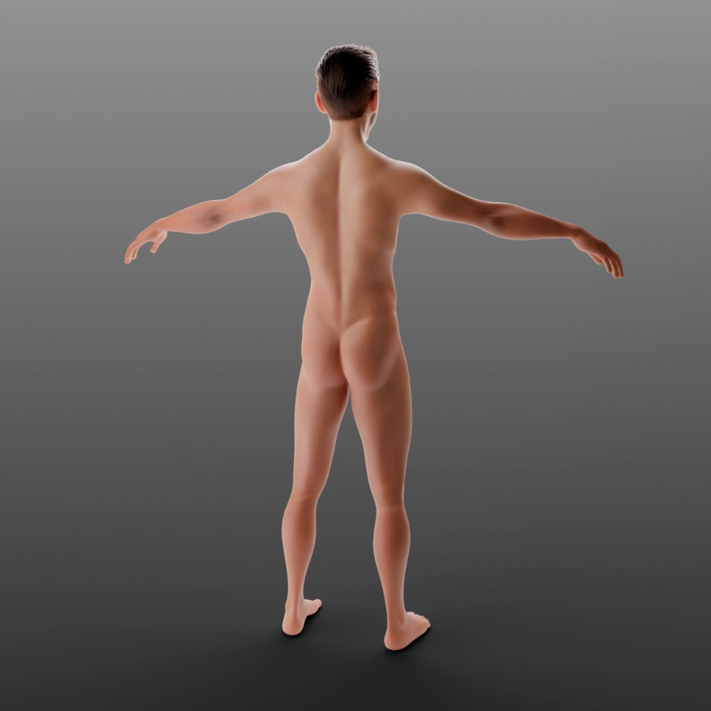 Vista posteriore del modello 3D Carlo in T-Pose - Controllo della simmetria della mesh e delle proporzioni Full Body