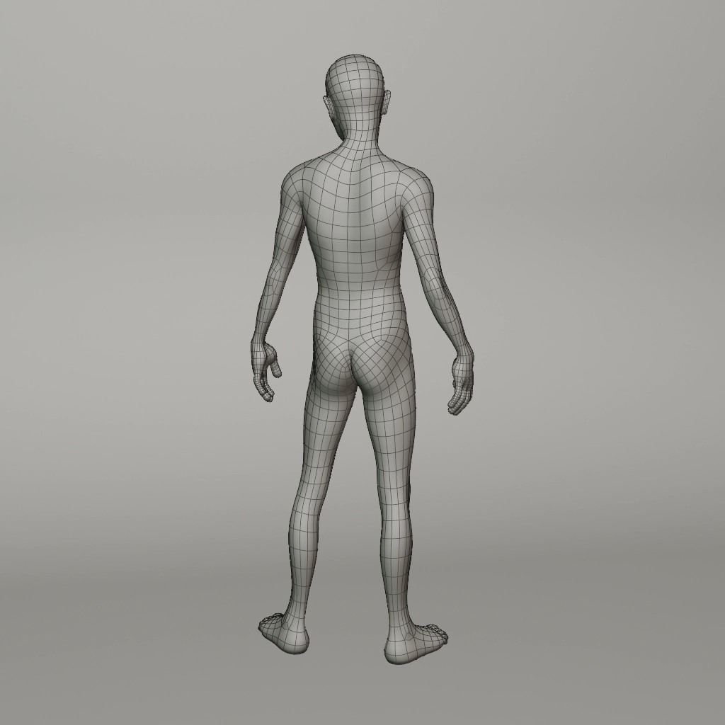 Wireframe 3D Shokunin - Test posa rilassata posteriore